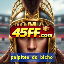 palpites do bicho no celular